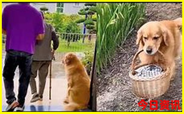 几月去马来西亚旅游最好